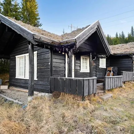 Bekkeblom, Family With Extension In