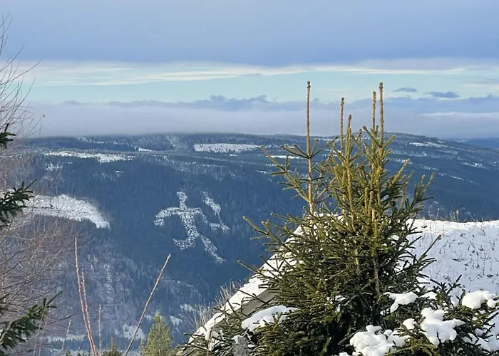 Bekkeblom, Family With Extension In Hafjell *