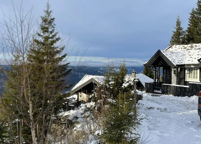 Tatil Evi Bekkeblom, Family With Extension In Hafjell